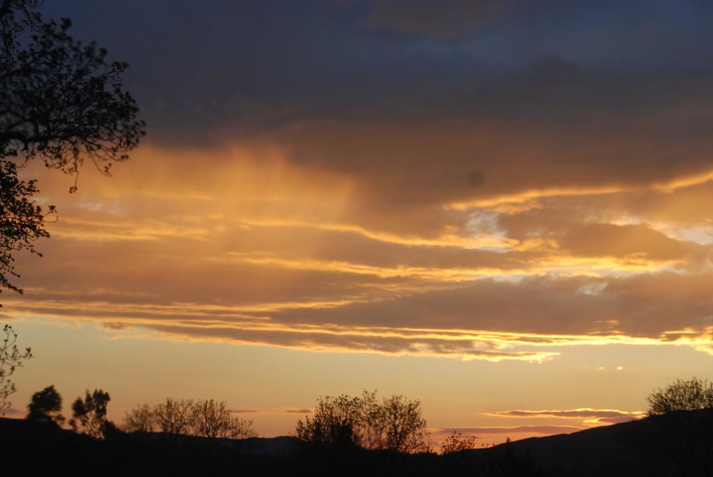 Bonawe House Holiday Cottages Taynuilt Eksteriør bilde